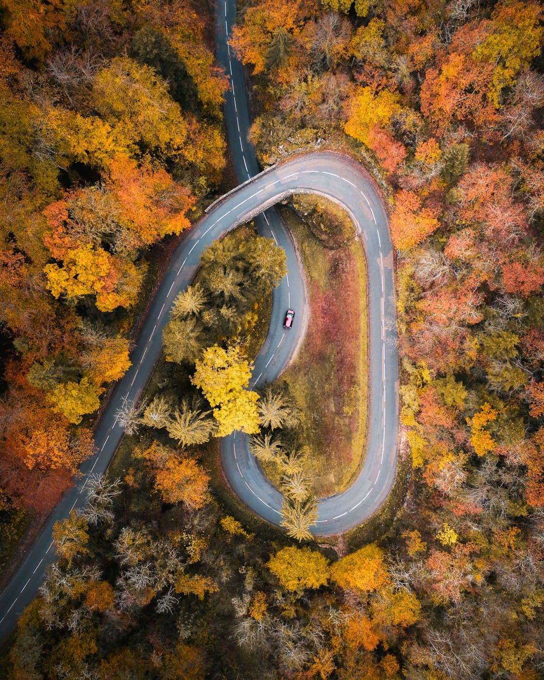 A winding road through yellow and orange trees, seen from above