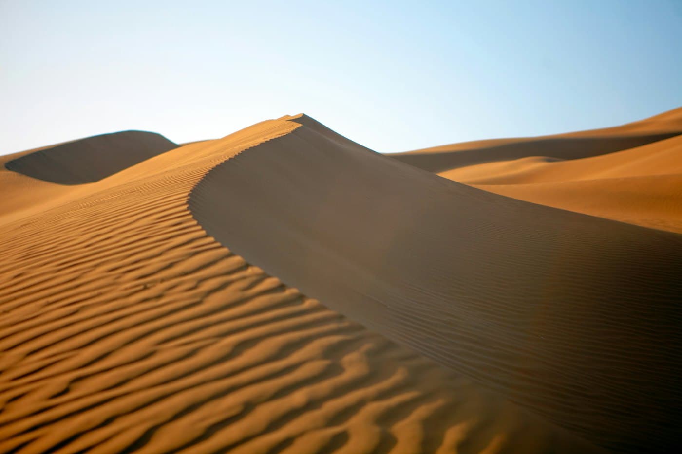 A sand dune ridge under a clear blue sky