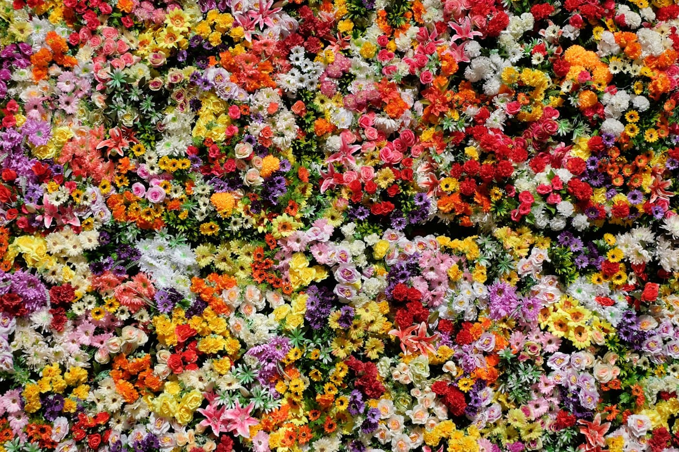 A dense carpet of red, yellow, and white flowers