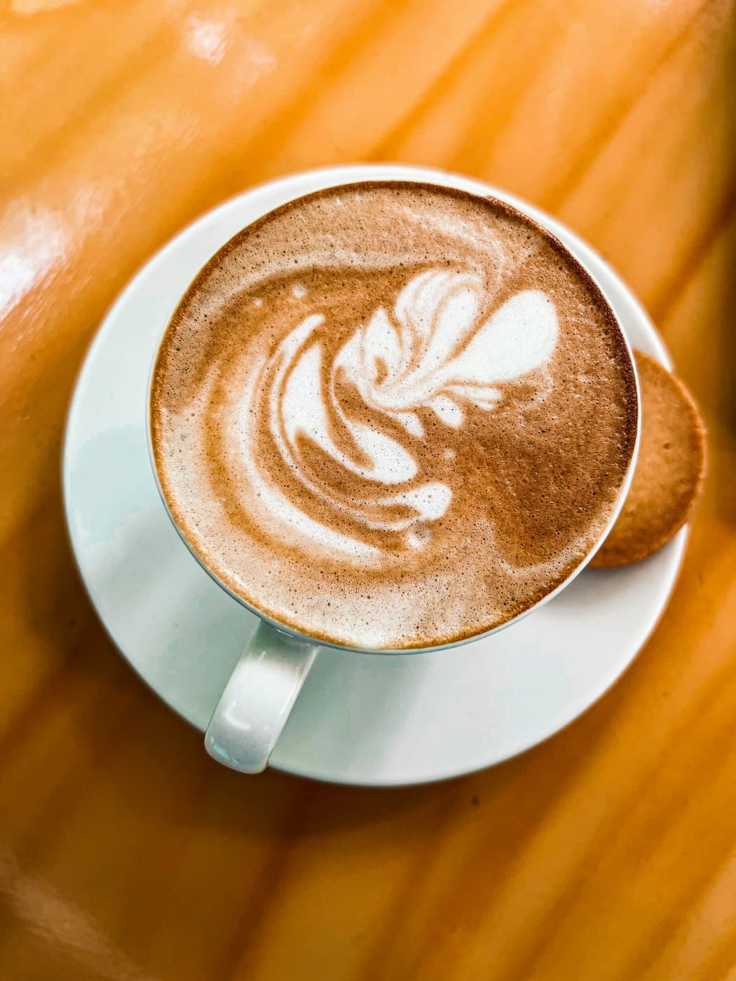 A latte with leaf art in a white cup