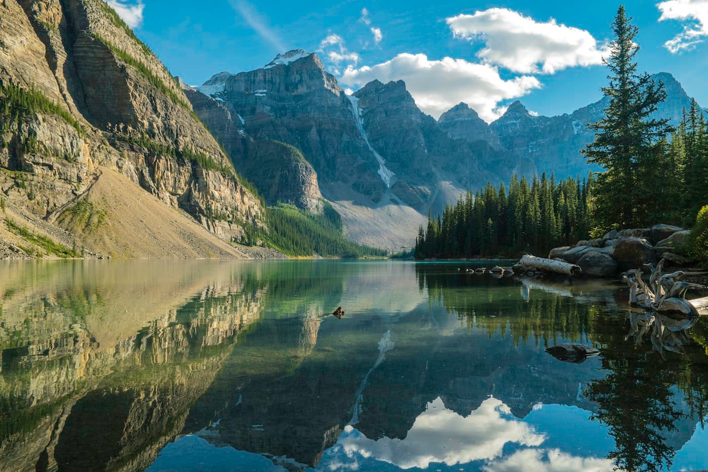 Mountains and pine trees reflected in a still lake
