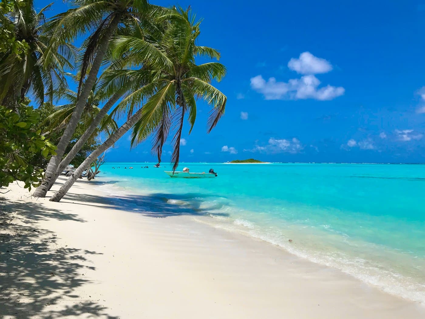 Palm trees leaning over a white beach and turquoise water
